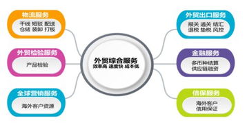 胜利精密 成长与困境的深度剖析——计算机软硬件行业观察